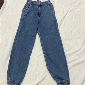 Express Blue Denim Joggers